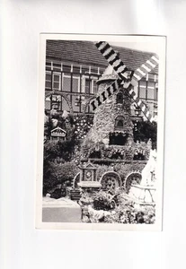 F6023) Ansichtskarte, 3743 RÖSCHITZ 227 - Reigner´s Garten - WINDMÜHLE Blumen - Foto 1 di 2