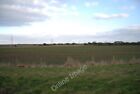 Photo 6x4 Sugar Beet by the River Rother Houghton Green/TQ9222  c2010