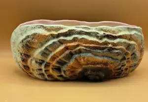 Sylvac Vintage Starfish Rock Pool Small Planter OP 3531 - Picture 1 of 5