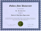 Doctor Auto Harp Appreciation Novelty Diploma Dulcimer