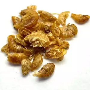 Gammarus Garnelen für Einsiedlerkrabben - Chitin, Protein - Gießen Sie n' Go Lebensmitteltube ™ - Bild 1 von 3