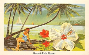 #K1631 HAWAII STATE FLOWER POSTKARTE, HIBISKUS - Bild 1 von 2