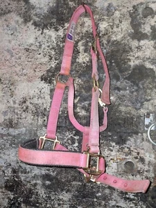 Pony Pink Headcollar - Picture 1 of 1