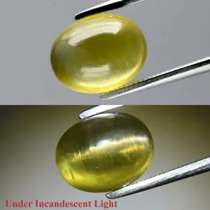 4.28ct Oval Cab Natural Greenish Yellow Cat's Eye Apatite - Unheated Africa Gem - Picture 1 of 11