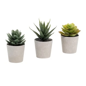 Artificial Succulents Set of 3 Mini Realistic Fake Plants with Plastic Pots f... - Picture 1 of 7