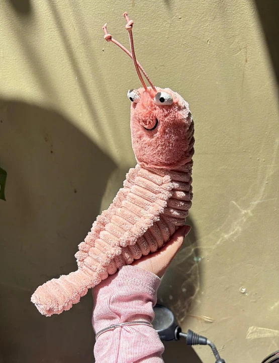 Jellycat Sheldon Shrimp Plush Toy Authentic With Dust Bag SH3S 