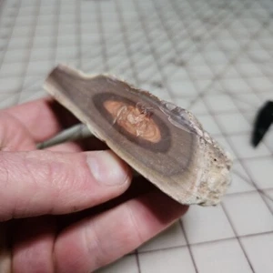 LB73: 131g Faced Natural Maroon Royal Imperial Jasper Rough Stone For Lapidary - Picture 1 of 7