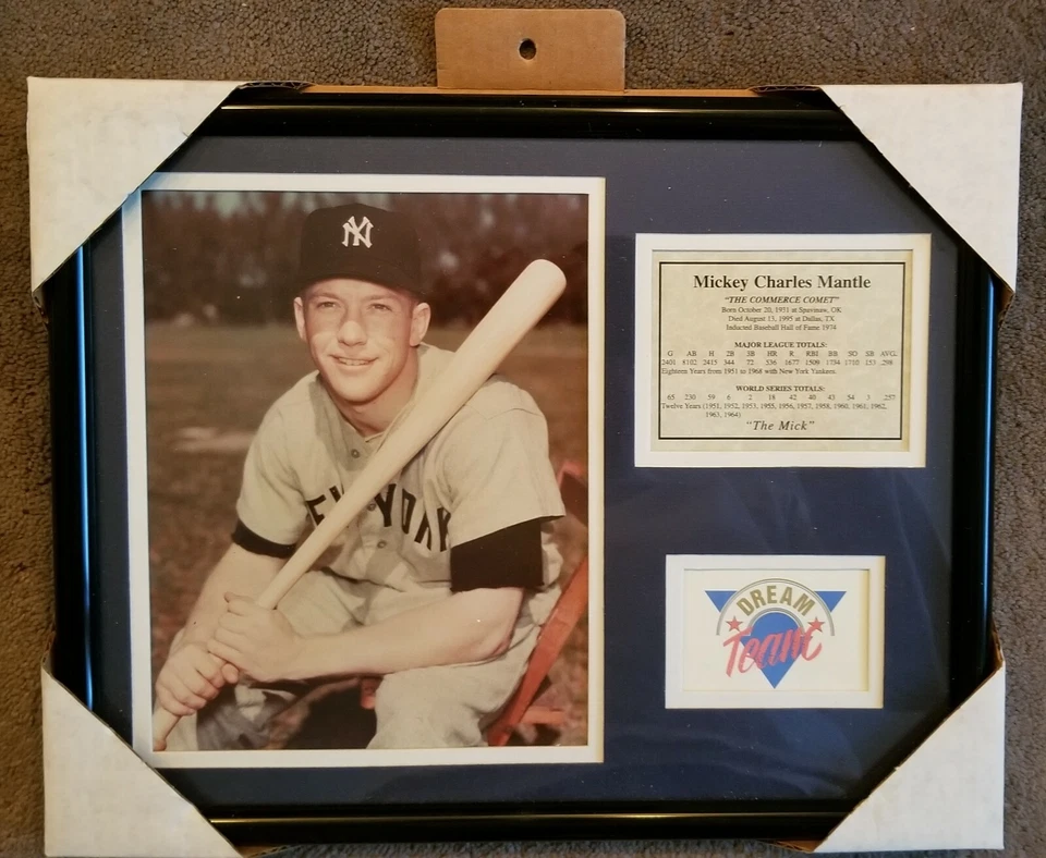 Микки Мэнтл Нью-Йорк Янкиз Картина в Рамке Памятная Статистика Итоги - Изображение 1 из 1