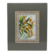 Dancing Lady Flower Print Matted Nature Collection Goldiana Guinea Gold 9.5x8