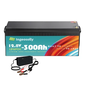 12V 300Ah Lithium Batterie LiFePO4 Akku Solarbatterie 3840WH 200A BMS +Ladegerät - Bild 1 von 17