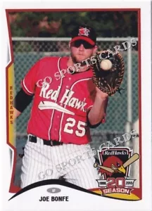 Fargo Moorhead RedHawks Joe Bonfe Indy 2015 - Imagen 1 de 1