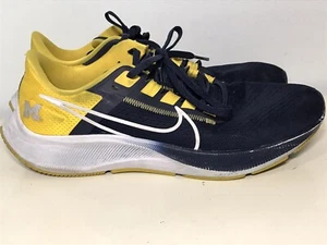 Nike Air Zoom Pegasus 38 Michigan Wolverines DJ0838-400 Mens Size 10 Rare - Picture 1 of 7
