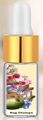 LE PETIT GRASOIS Parfüm Öl Nag Champa aus Frankreich sehr intensiv Parfümöl Probeflasche 1L=996€