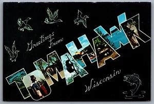 Postcard Tomahawk WI Greetings from Tomahawk Wisconsin Large Letter Greeting - Bild 1 von 2