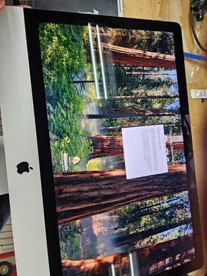 Apple iMac 27-inch 5K Retina LCD A2115 EMC 3194 LM270QQ1 (SD)(E1) 2019 *Used* - Image 1 of 2