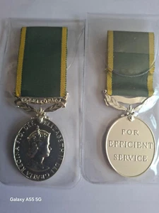 Territorial Efficiency medal TEM E2R replacement - Picture 1 of 1
