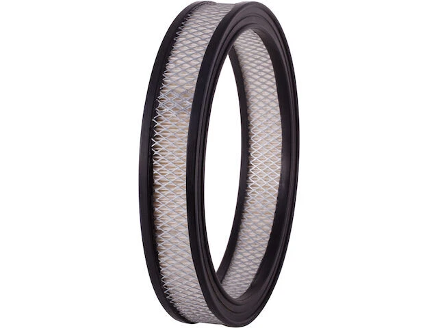 Filtro de aire Premium Guard 24MNFD59 para BMW 2002 2002tii 1973 1974 1975 1976 Foto 1 de 1