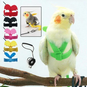 Bird Harness Leash Set Parrot Flying Rope Straps Outdoor Training Cockatiel ➳ - Picture 1 of 22