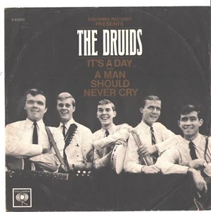 THE DRUIDS--PICTURE SLEEVE + 45--(IT'S A DAY)--PS--PIC--SLV - Foto 1 di 2