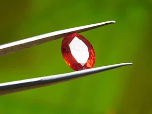 Natural 8.10Ct Spessartite Fanta Orange Garnet Certified Loose Gemstone - Picture 1 of 7