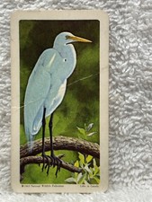 1963 #1 Common Egret Tropical Birds Brook Bond Tea Card USA