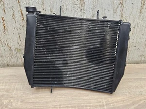 Radiador Triumph Street Triple 765 S/R 17-19 T2104444 - Imagen 1 de 10