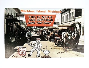 Postkarte Mackinac Island Michigan Vintage sicher keine Ein-Pferde-Stadt - Bild 1 von 2