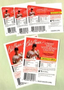 CAL RIPKEN JR Orioles ~ 1993 Cal's Choice Milk Carton Labels Lot - Picture 1 of 1