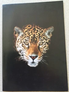 Genuine Jaguar XJR/XJ6/XJ Sport/XJS/Daimler/XJ12 Foldout Poster Brochure - Picture 1 of 3