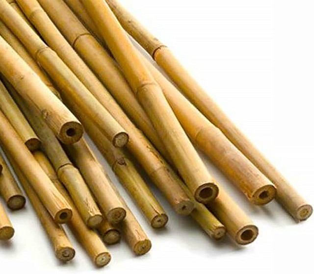 Bamboo Canes 2ft 4ft 6ft Large Plant Support Extra Strong Pole Garden Sticks