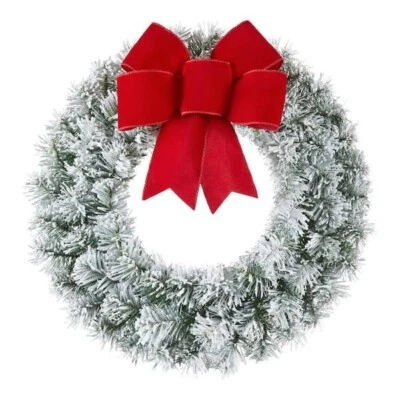 Home Accents Holiday 24 in Flocked Frosted Noble Pine Wreath Christmas Decor - Image 1 of 4