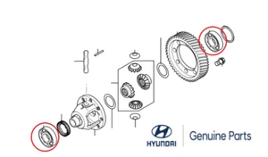 HYUNDAI ACCENT ATOZ GETZ SANTRO BEARING DIFFERENTIAL CASE NEW OEM 4582936050 - Picture 1 of 2