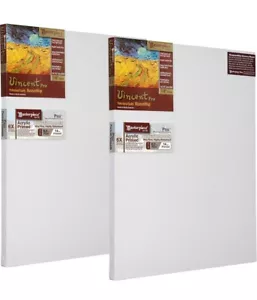 10”x20” MASTERPIECE Vincent Pro Poiters Linen Canvas (2 Pack) - Picture 1 of 4