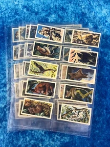 Brooke Bond Asian Wild Life Full Set of 50 Tea Cards 1962 - Bild 1 von 11