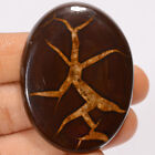 Natural Septarian Gronates Oval Cabochon Gemstone 105.5 Ct. 47X30x6 Mm Ee-45721