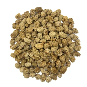 Dried White Mulberries 1kg | Light & Natural | Healthy Snack | Free UK Delivery - Picture 1 of 5
