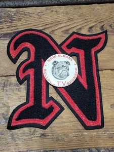 Vintage neu Albany High School Bulldoggen Pinback Button Universität Buchstabe N NAHS IN  - Bild 1 von 6