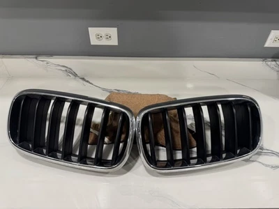 BMW X5 F15 2014-2018 montaje de rejilla OEM lado izquierdo y derecho 7316075 / 7316076 Foto 1 de 3