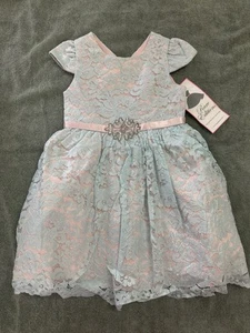NWT Rare Editions Toddler Girls Cap-sleeved Lace Dress 4T - Picture 1 of 5