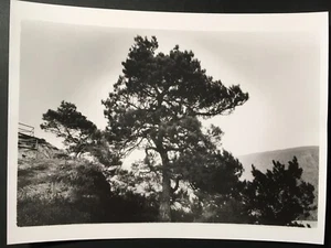 Photo Fotokunst Silbergelatinedruck Baryt landscape Gelatinsilverprint Foto - Bild 1 von 6