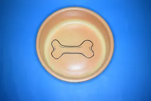 CROWN DEVON DOG FEEDING BOWL - Picture 1 of 4