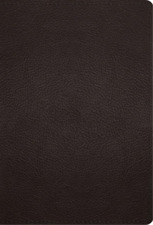 ESV Large Print Compact Bible (Leather Bound)