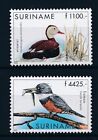 [SU1068] Canards oiseaux Suriname Suriname 2000 neuf sans h