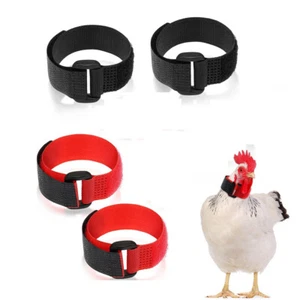 4 piezas Collar de gallo sin cuervo, cuello de pollo anti-gancho cuello sin ruido - Imagen 1 de 8