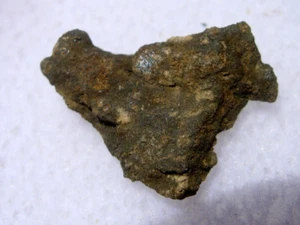 .343 grams NWA 14596 Carbonaceous chondrite (CK3) Meteorite fragment with a COA - Picture 1 of 1