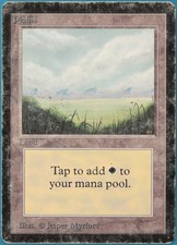Plains (A Light) Beta VERY HEAVILY PLD Basic Land MTG CARD (ID# 248345) ABUGames