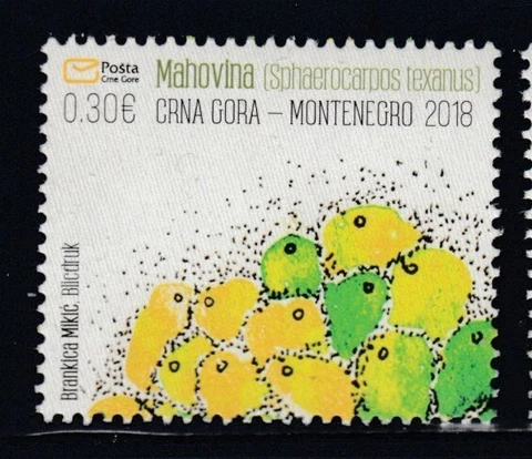 MONTENEGRO Texas Balloonwort (Sphaerocarpos texanus) MNH stamp Cover