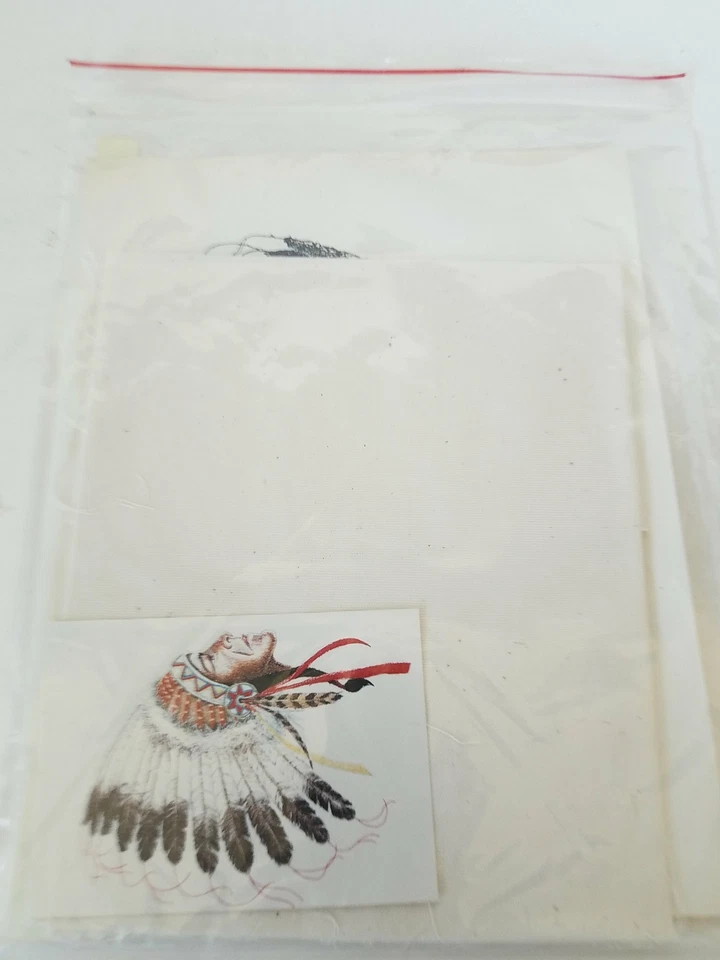 Instrucciones de bordado de cabeza india Foto 1 de 4