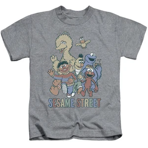 SESAME STREET COLORFUL GROUP Toddler Kids Graphic Tee Shirt 2T 3T 4T 4 5-6 7 - Picture 1 of 1