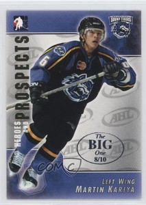 2004-05 ITG Heroes and Prospects The Big One (Vancouver) /10 Martin Kariya #16